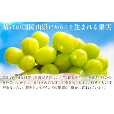 【2ヶ月定期便】晴王 シャインマスカット 約1.3kg×2回《9月上旬-10月末頃出荷》