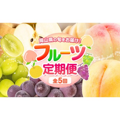 岡山の贅沢フルーツ定期便 全5回《7月-12月末頃出荷》岡山県 矢掛町 