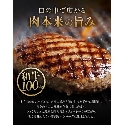 侍が恋したハンバーグ 計450g 150×3個《30日以内に出荷予定(土日祝除く)》