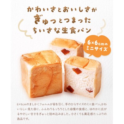 侍が恋する ましかくミニ生食パン 6個 侍が恋するパン屋《30日以内に出荷予定(土日祝除く)》