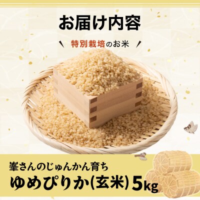岩見沢産 じゅんかん育ち 峯さんの「ゆめぴりか」玄米 5kg