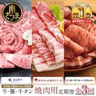 【厳選焼肉定期便】黒毛和牛・ブランド豚・牛タン 全3回コース