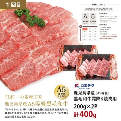 【厳選焼肉定期便】黒毛和牛・ブランド豚・牛タン 全3回コース