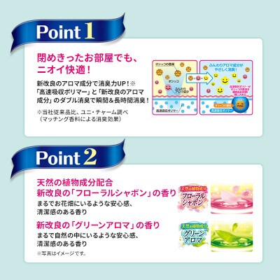 【毎月定期便】デオシート消臭フレグランス グリーンアロマワイド60枚×4犬[53940933]全2回