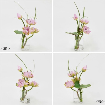 アートフラワー エミリオ・ロバ ロータスpk-4L TTNTP21200[53940143]