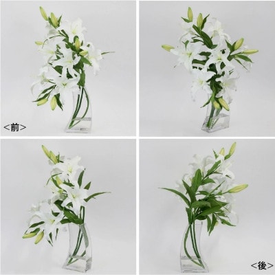 アートフラワー エミリオ・ロバ  カサブランカ5L TTNTA-93450[53940166]