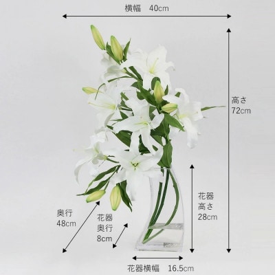 アートフラワー エミリオ・ロバ  カサブランカ5L TTNTA-93450[53940166]