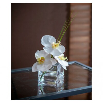 アートフラワー エミリオ・ロバ  ファレノプシスS TTNTS-51080[53940173]