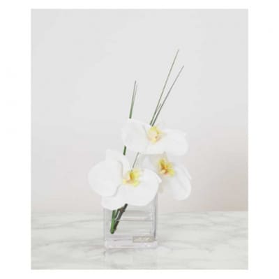 アートフラワー エミリオ・ロバ  ファレノプシスS TTNTS-51080[53940173]