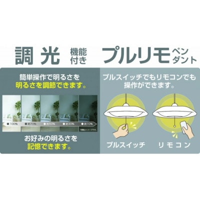 LEDペンダントライト「RVR60102」[53940241]