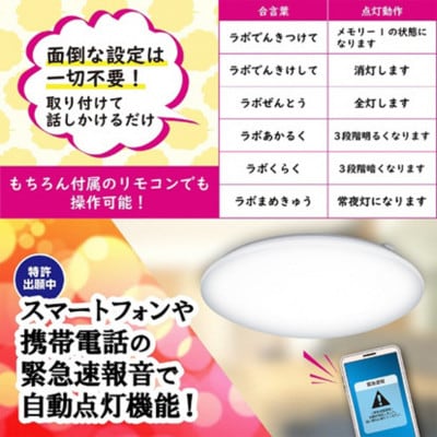 音声操作シーリングライト「GOX80135」[53940246]