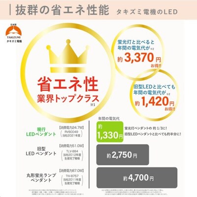 12畳 LED和風リモコンペンダント 調光 日本製 TAKIZUMI瀧住電機工業[53940650]