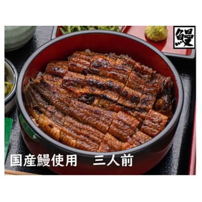 おうちでひつまぶし　3人前　炭火焼きうなぎ 国産[53940292]