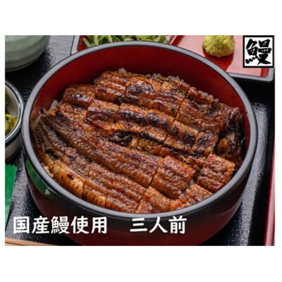 おうちでひつまぶし3人前と白焼き3人前/炭火焼うなぎ 国産[53940293]