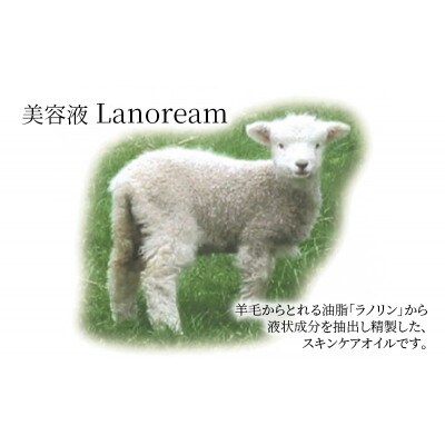 美容液　Lanoream ラノリーム[53940363]