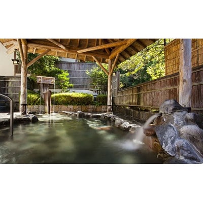 自然に包まれた天然温泉と純和風造りの閑静なたたずまいの一軒宿で頂くペアお食事券[53940395]