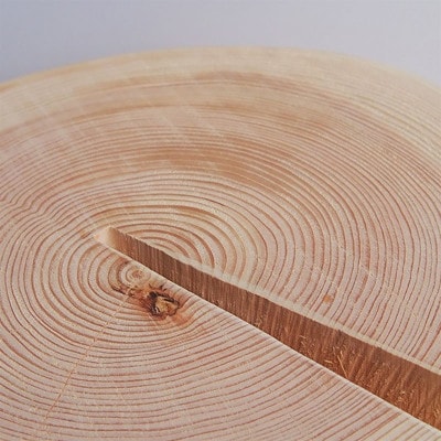 MORITO　森の丸太スツール【ヒノキ/磨き丸太仕上げ】[53940511]