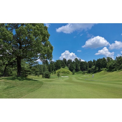 桔梗が丘ゴルフコース 平日 1名様 プレー券[53940608]