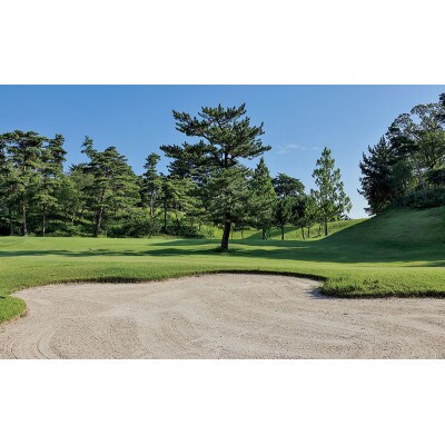 桔梗が丘ゴルフコース 土日祝 1名様 プレー券[53940609]