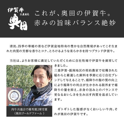 肉の横綱　伊賀牛ミスジ650g　すき焼き赤身 / 冷凍発送奥田(0524)3-は[53940387]
