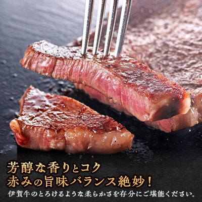 肉の横綱伊賀牛サーロインステーキ　250g×2枚 冷凍発送奥田(0527)3-は[53940388]