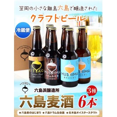 六島麦酒6本セット(クラフトビール)　A-120b