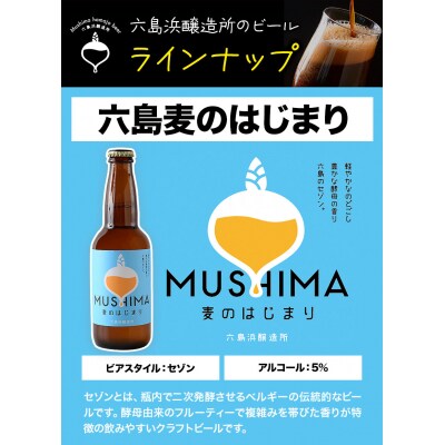 六島麦酒6本セット(クラフトビール)　A-120b