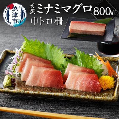 キボシ水産 天然 鮪 南鮪 中トロ 柵 刺身 800g以上(a28-011)