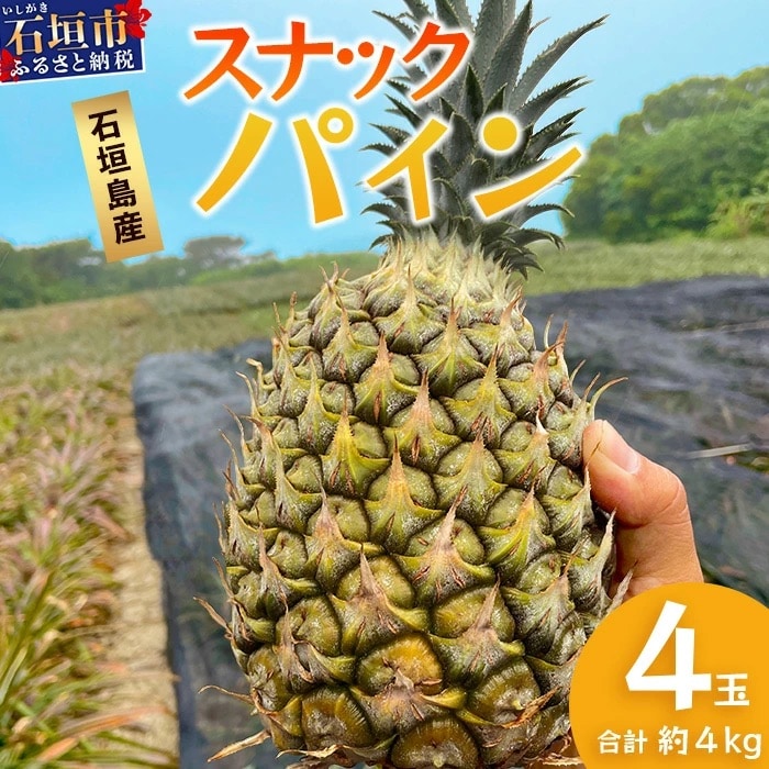 【先行受付】《2026年5月上旬頃より順次発送》石垣島産 スナックパイン (4玉 約4kg)  