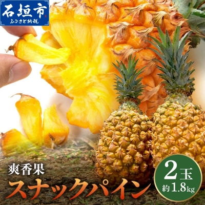 《2027年4月上旬以降発送》爽香果 スナックパイン 2玉 約1.8kg