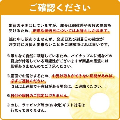 《2025年4月～6月発送》最高糖度18度!? 石垣島産完熟スナックパイン 2個セット