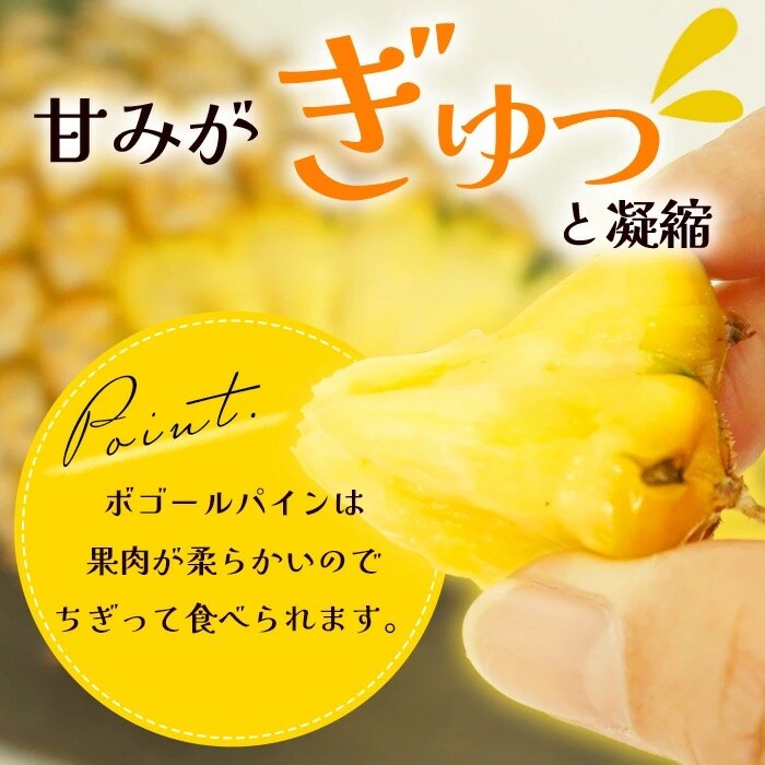 【先行受付】《2025年5月上旬頃より順次発送》石垣島産 ボゴールパイン 2～3玉セット 約2kg
