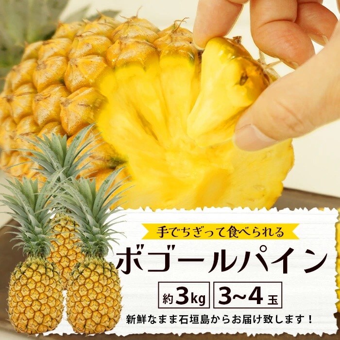 【先行受付】《2025年5月上旬頃より順次発送》石垣島産 ボゴールパイン 3～4玉セット 約3kg