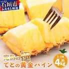 《2026年5月中旬以降順次発送》香りに溺れる!? 完熟の極 てとの黄金パイン大玉約4kg