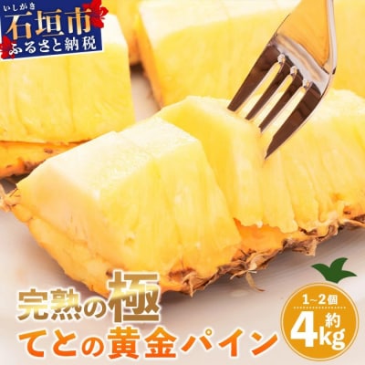 《2026年5月中旬以降順次発送》香りに溺れる!? 完熟の極 てとの黄金パイン大玉約4kg