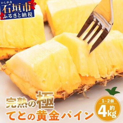 《2026年5月中旬以降順次発送》香りに溺れる!? 完熟の極 てとの黄金パイン大玉約4kg