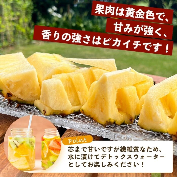 《2026年5月中旬以降順次発送》香りに溺れる!? 完熟の極 てとの黄金パイン大玉約4kg