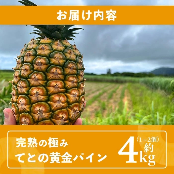 《2025年5月中旬以降順次発送》香りに溺れる!? 完熟の極 てとの黄金パイン大玉約4kg