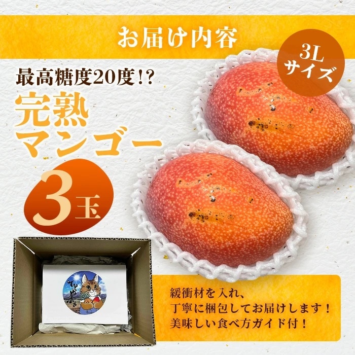 《2025年6月下旬～7月発送》【先行受付】完熟!3Lサイズ 石垣島マンゴー 3玉入り