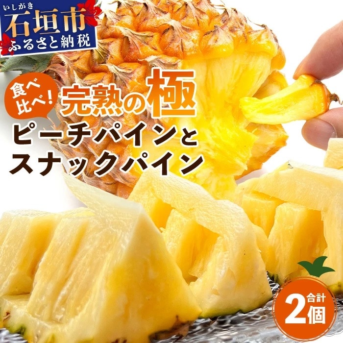《2025年4月～6月順次発送》【先行受付】石垣島産ピーチパインとスナックパインの食べ比べセット