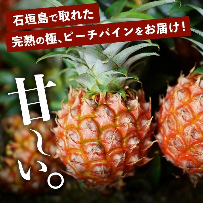 《2025年4月～6月順次発送》【先行受付】石垣島産ピーチパインとスナックパインの食べ比べセット