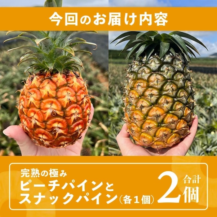 《2025年4月～6月順次発送》【先行受付】石垣島産ピーチパインとスナックパインの食べ比べセット