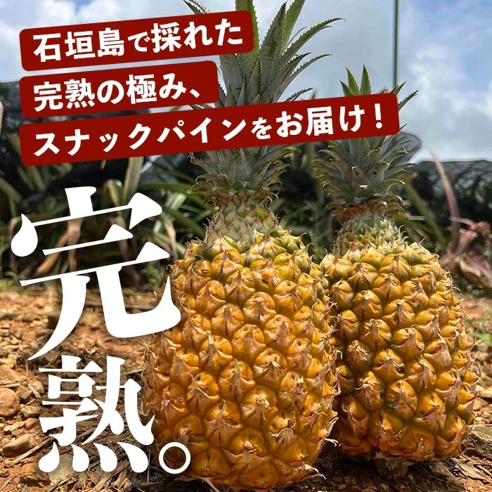 2025年4月～6月順次発送【先行受付】スナック&ピーチ&ジュワリー3種の食べ比べセット