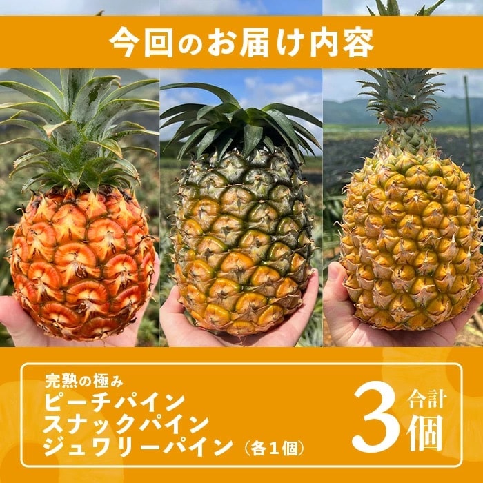 2025年4月～6月順次発送【先行受付】スナック&ピーチ&ジュワリー3種の食べ比べセット
