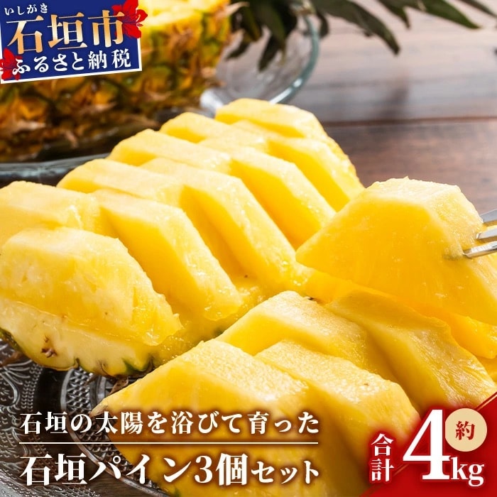【先行受付】石垣パイン 3個セット ハワイ種【2025年6月初旬～7月下旬の発送予定】