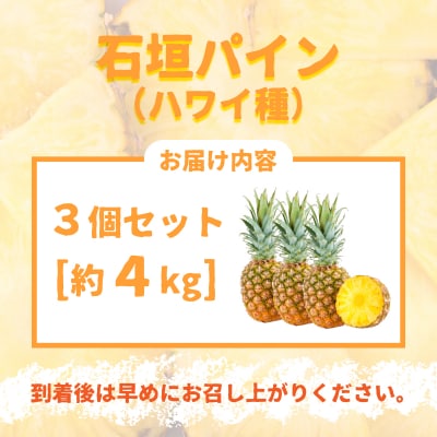 <先行受付>石垣パイン 3個セット ハワイ種【2026年7月上旬以降発送】