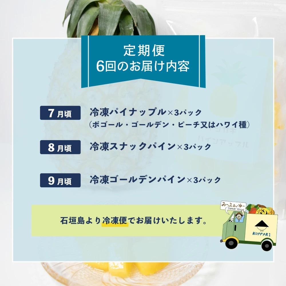 石垣島 冷凍パイナップル 3回定期便