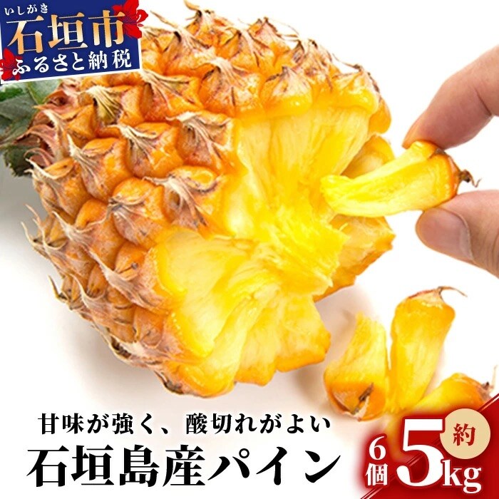 【先行受付】石垣パイン 6個セット ボゴール種【2025年5月初旬～6月初旬発送予定】