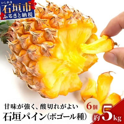 【先行受付】石垣パイン 6個セット ボゴール種【2026年5月初旬～6月初旬発送予定】