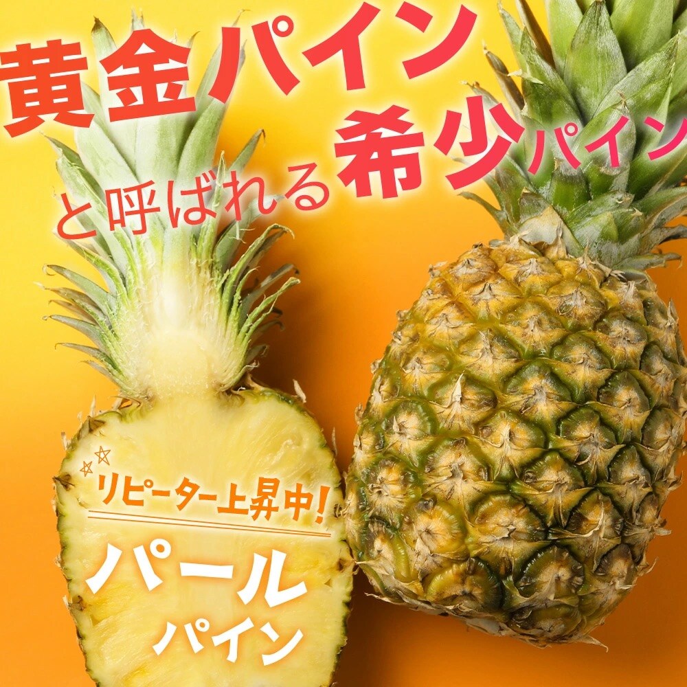 【先行受付】パールパイン1kg(1～2玉)お勧め♪川平パイン《2026年7月～8月頃順次発送》